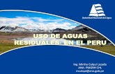 USO DE AGUAS RESIDUALES- EN EL PERU - … de aguas residuales en el perú.pdf · e En el caso de los árboles frutales, el riego debe cesar dos semanas antes de cosechar la fruta