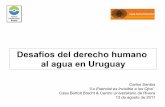 Desafíos del derecho humano al agua en Uruguay · 2011-08-13 · “El derecho humano al agua es el derecho de todos a disponer de agua suficiente, ... las tierras ejidales en México,