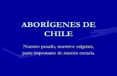 ABORÍGENES DE CHILE - ucv.altavoz.netucv.altavoz.net/prontus_unidacad/site/artic/20110725/asocfile/... · los principales cultivos de los diaguitas eran el maíz, las papas, los