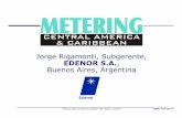 Jorge Rigamonti,Subgerente, EDENOR S.A. Buenos … Rigamonti - Prepag… · Fomenta el uso racional de la energía Contexto y Antecedentes. ... Colombia •Reemplazar el compromiso