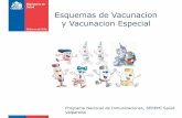 Esquemas de Vacunacion y Vacunacion Especial - … y... · ESQUEMAS INTERRUMPIDOS ... • La administración de una vacuna de virus vivo atenuado que se elimina por deposiciones,