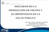 INOCUIDAD EN LA PRODUCCIÓN DE FRUTAS Y SU IMPORTANCIA EN …fruticultura2014.weebly.com/uploads/2/2/4/2/22425932/inocuidad_en... · INOCUIDAD EN LA PRODUCCIÓN DE FRUTAS Y SU IMPORTANCIA
