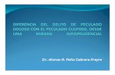 Dr. Alonso R. Peña Cabrera Freyre - mpfn.gob.pe · A esto debe añadirse, -algo de vital importancia-, que el tipo del Peculado culposo, avizora una complejidad delictual, en el