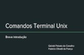 Comandos Terminal Unix - Fabrício Olivetti de França · Comandos Terminal Unix ... Comandos básicos do terminal ... Ubuntu (64b' t) y size d disk C) Do not add a Virtual hard disk