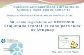 Situación regulatoria en MERCOSUR. Etiquetado …alaccta.org/documentos/Teresa_Pagano_El_caso_de_Uruguay.pdf · Se crea en marzo de 1991 en Asunción, Paraguay. TP 2018 2. El Consejo