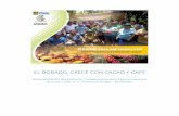 EL DORADO, CRECE CON CACAO Y CAFÉ · PIRDAIS: Plan de Impacto Rápido para el Desarrollo Integral Sostenible VBP: Valor Bruto de Producción REFERENCIAS BIBLIOGRÁFICAS Caracterización