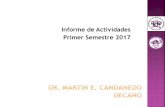 Informe de Actividades Primer Semestre 2017 - … · CSI Caribe (SAP2000, ETABS, SAFE, CSIBridge)