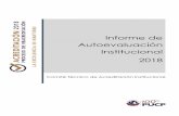 Informe de Autoevaluación Institucionalcdn02.pucp.education/academico/2017/09/18211935/informe_ae... · Informe de autoevaluación institucional PONTIFICIA UNIVERSIDAD CATÓLICA
