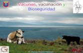 Vacunas, vacunación y Bioseguridad - veterinaria.uanl.mx · Triada Epidemiólogica "Conocer algo, es haber logrado las respuestas al qué, cuándo, cómo, y por ... Su estabilidad