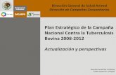 Plan Estratégico de la Campaña Nacional Contra la ...conasamexico.org.mx/conasa/2011_docs_19a_reunion/201110_24-lune… · de la tuberculosis bovina y reducción de riesgos de difusión