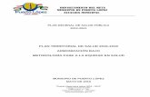 PLAN TERRITORIAL DE SALUD 2016-2019 … · Plan Estratégico para las Enfermedades Transmitidas por Vectores; la Ley 1523 de 2012 (Congreso de la República de Colombia, 2012) por