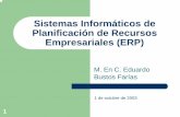 ERP (Planificación de Recursos Empresariales) · ... las necesidades de los usuarios en el entorno ... tic s Production Distributi o n ... zEl posible fracaso de la implantación