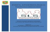 PERFIL EPIDEMIOLÓGICO 2015 - Hospital San Juan de …hospitalcarmenv.gov.co/ESW/Files/PERFIL_EPIDEMIOLOGICO_CARME… · Tabla 15 Distribución 10 primeras causas de morbilidad por