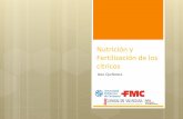 Nutrición y Fertilización de los cítricos - FMCcatedrafmc.upct.es/images/actividades/Ijornada/... · NUTRIENTES ESENCIALES MANEJO PRÁCTICO DE LA FERTILIZACIÓN Necesidades anuales