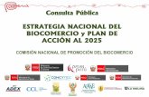 Consulta Pública ESTRATEGIA NACIONAL DEL … · Proyecto Biocomercio Andino (ejes temáticos y objetivos estratégicos). Primera etapa Identificación de elementos para la Estrategia