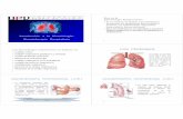Introducción a la Kinesiología: Kinesioterapia Respiratoriafiles.materialkinesiologia.webnode.cl/200000041-f1405f23ac/5.pdf · Introducción a la Kinesiología: Kinesioterapia Respiratoria
