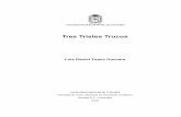 Tres Tristes Trucos - bdigital.unal.edu.co · mediante un bando, que el cine era una máquina de ilusión.1 (Gabriel ... 2 Bazin, André. (1990) ¿Qué es el cine? Traducción José