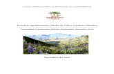 Prácticas Agroforestales, Modos de Vida y Cambio …foreststreesagroforestry.org/wp-content/uploads/pdf/Informe... · autoridades de las comunidades de Ccerabamba-Andina y de Pacchani