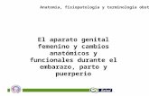 [PPT]Presentación de PowerPoint · Web viewEl aparato genital femenino y cambios anatómicos y funcionales durante el embarazo, parto y puerperio GenitFemObs Desprendimiento prematuro