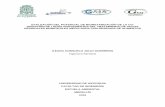 EVALUACIÓN DEL POTENCIAL DE BIOMETANIZACIÓN DE …tesis.udea.edu.co/bitstream/10495/7368/2/JulioGuerreroIleana_2016... · evaluaciÓn del potencial de biometanizaciÓn de la co-digestiÓn