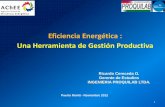 Eficiencia Energética : Una Herramienta de Gestión Productivaold.acee.cl/577/articles-64993_recurso_3.pdf · Una Herramienta de Gestión Productiva 1 Puerto Montt - Noviembre 2012