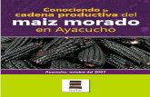 Conociendo la Cadena Productiva de Maíz Morado en … · Conociendo la Cadena Productiva de Maíz Morado en Ayacucho 2 Solid - Perú ... morado que se hizo de manera participativa