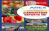 BOLETÍN INFORMATIVO · Ciudad, Eten, Puerto Eten, Reque, Lagunas-Mocupe y San José– y los gremios empresariales de la región Lambayeque, fue calificada por la prensa regional