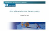 Control financiero de Subvenciones - …gfw.diputacionalicante.es/repo/rec/658/CF subvenciones.pdf · Ámbito interno y ámbito externo ... y normas contables y presupuestarias que