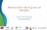 Remoción de H2S en el biogás³n_de_H2S_en_el_biogás... · S por cationes metálicos •Reacciones con cationes metálicos para formar sulfatos insolubles. •Precipitación de