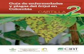 Guía de enfermedades y plagas del fríjol en Colombia …ciat-library.ciat.cgiar.org/Articulos_Ciat/biblioteca/Guia_de... · Principales enfermedades de la parte aérea del fríjol.