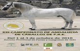 XXI CAMPEONATO DE ANDALUCÍA - caballoandaluz.com · Desde estas líneas quiero aprovechar la oportunidad para agradecerles a todos los visitantes al Campeonato de Andalucía de Caballos