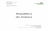 República de Guinea - CEARcear.es/wp-content/uploads/2013/08/GUINEA-CONAKRY... · 3 Monografía: Guinea. Ministerio de Asuntos Exteriores y Cooperación, Gobierno de España. Ministerio