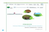 PROEZA - STP ~ Paraguay – Sitio oficial de la ... · bioenergéticas en sistemas amigables con el ambiente ... Desarrollar y potenciar las capacidades institucionales para la redacción,