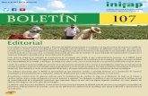 BOLETÍN 107 - Instituto Nacional de Investigaciones ... · El piñón mexicano ha despertado el interés de las empresas bioenergéticas, ... Instituto Nacional para el Desarrollo