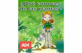 P Introducción - AULABOOKSibooks.aula24horas.com/downloads/2/pdf/queconocesdelasplantas.pdf · de las plantas, tenemos que conocer varias de ... ¿Las plantas se mueven? 8! A diferencia
