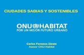 CIUDADES SABIAS Y SOSTENIBLES - Página Iniciooab.ambientebogota.gov.co/.../ciudades_sabias_y_sustentables.pdf · CIUDADES SABIAS Y SOSTENIBLES ... social, calidad ambiental y disponibilidad