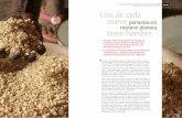Análisis documentAl pArA conocer lA situAción del …revista.consumer.es/web/es/20151101/pdf/tema-de-portada.pdf · ¿Qué es lo que causa el hambre? La pobreza, la falta de ...