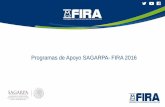 Programas de Apoyo SAGARPA- FIRA 2016 - Consejo …ceach.org.mx/ponencias/03_Programas_de_Apoyo_SAGARPA.pdf · Agroproducción Incentivo para la ... Operación Integral líneas Crédito