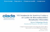 VII Seminario de América Latina y el Caribe de ... · • Análisis de Legislación sobre ... continuo del Gobierno y las políticas públicas ... La producción de biocombustibles
