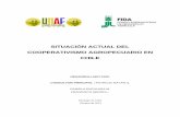 SITUACIÓN ACTUAL DEL COOPERATIVISMO … · situaciÓn actual del cooperativismo agropecuario en chile - 2012 1.2.2 Analizar el proceso de desarrollo y relevancia en el país, de