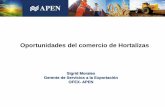Oportunidades del comercio de Hortalizas - APENapen.org.ni/wp...en-el-Mercado-Externo-para-el-sector-hortalizas.pdf · 07 Legumbres y hortalizas, plantas, raíces y tubérculos alimenticios