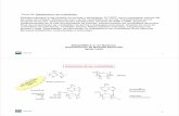 Estructura de los nucleótidos - Open Course Ware · Esquema general d ela síntesis de purinas y pirimidinas. ... 4 Tema 28 Glicina Formil-THF ... Tema 28 Síntesis de nucleótidos