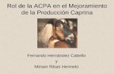 Rol de la ACPA en el Mejoramiento de la Producción … · Salud (Enfermedades Parasitarias: medidas de control, Trastornos ... manejo, reproducción de cabras) • Divulgación de