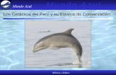 Presentación de PowerPoint - mundoazul · Ballena Azul 1 ballena azul tiene el peso de 25 elefantes africanos o de 1,667 peruanos ... durante todo el año frente la costa norte.