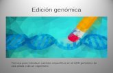 Edición genómica - biotecnologiaindustrial.fcen.uba.arbiotecnologiaindustrial.fcen.uba.ar/wp-content/uploads/2010/04/E4a... · Edición genómica Técnica para introducir cambios