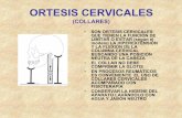 ortesis de tronco - kinesiouba.com.ar · laterales asimetricas para torticolis. ... • se compone de 2 placas verticales laterales, 2 posteriores paravertebrales prolongadas y 2