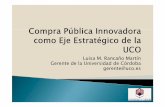Luisa M. RancañoMartín Gerente de la Universidad de ... · Se recomienda hacerlo por fases ya que favorece la competencia y permite aprovechar las soluciones mas ... segunda fase