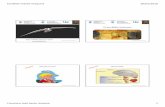 ¿De qué va esto? Del encéfalo - webdiis.unizar.eswebdiis.unizar.es/~seron/archivos/doc_entradas/01._encefalo.pdf · Estructura anatómica del tronco encefálico • Puente: Tiene