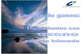 LAVADO DE GASES mar - cosemarozono.com · de combustible utilizado en los locales y de las cocinas) y del tiempo que pasan en ese ambiente. ... Asimismo el gas oxida cetonas, aldehidos,
