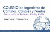 COLEGIO de Ingenieros de Caminos, Canales y Puertoscaminosandalucia.es/wp-content/uploads/2016/07/20160519_Presenta... · • Defiende que los ingenieros de Caminos puedan intervenir